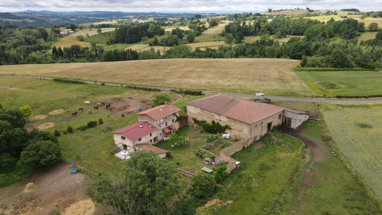 Domaine Du Coq En Pat Bed and Breakfast Augerolles Eksteriør billede